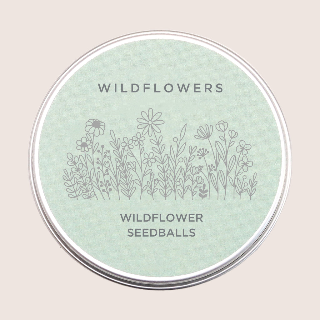 Wildflower seeds balls in tin with pastel green label