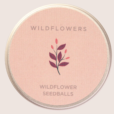 Wildflower Seed Balls - Pink