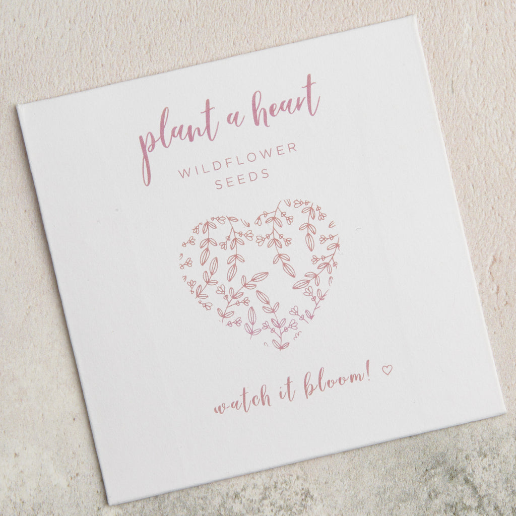 'Plant a heart' wildflower seed paper gift