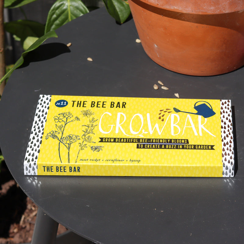 Letterbox-friendly bee grow bar containing sweet rocket, cornflower and hyssop seeds in yellow packaging
