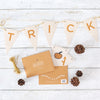 Trick or treat halloween bunting kit in orange envelope