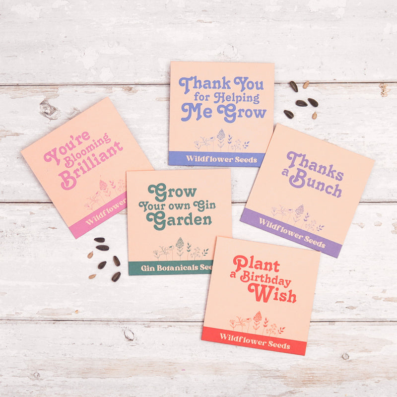 Full range of wildflower seeds including plant a birthday wish, you're blooming brilliant & thanks a bunch