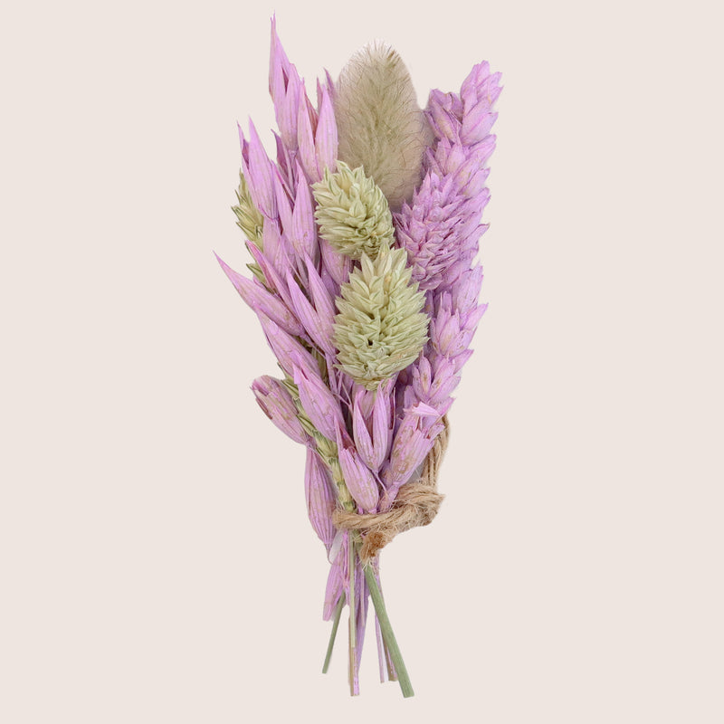 Mini dried flower posy containing neutral & pastel purple flowers
