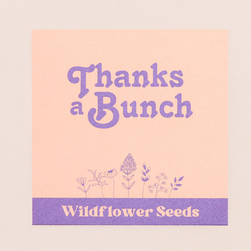 Thanks A Bunch Wildflower Seeds in purple & cream envelope
