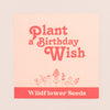 Plant a Birthday Wish wildflower seeds in red & cream envelope