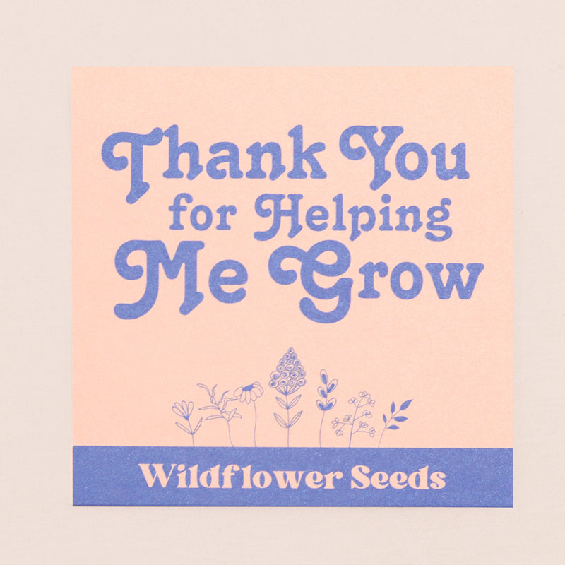 Thank You for Helping Me Grow Wildflower Seeds in blue & cream envelope