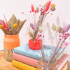 Dried flowers spring bouquet arranged in three colourful glass jars